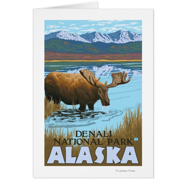 Moose Drinking vid Sjö - Denali National Park. Hälsningskort (Framsidan)