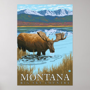Moose Drinking vid Sjö - Montana Poster