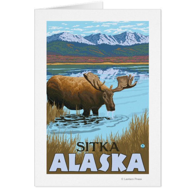 Moose Drinking vid Sjö - Sitka, Alaska Hälsningskort (Framsidan)