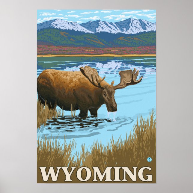 Moose Drinking vid Sjö - Wyoming Poster (Framsidan)