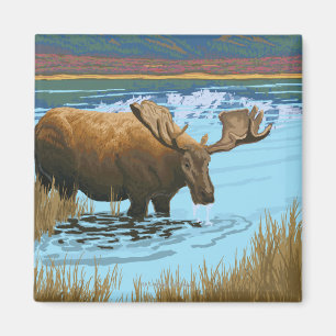 Moose Drinking vid Sjö - Yellowstone National Magnet
