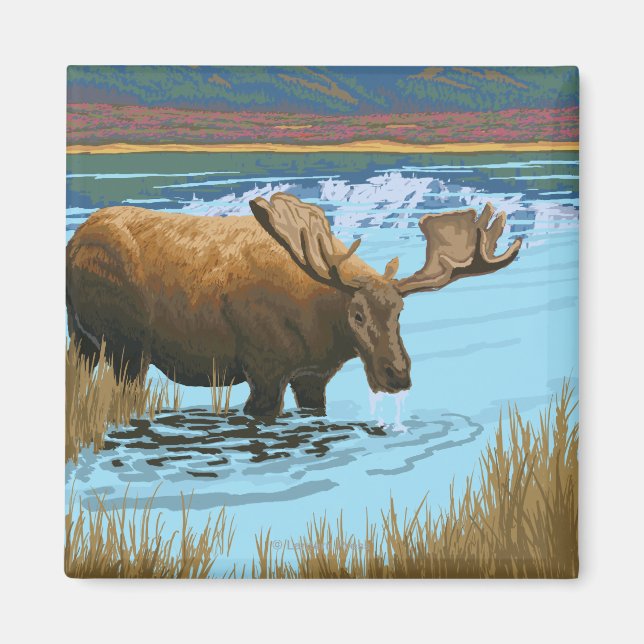 Moose Drinking vid Sjö - Yellowstone National Magnet (Framsidan)