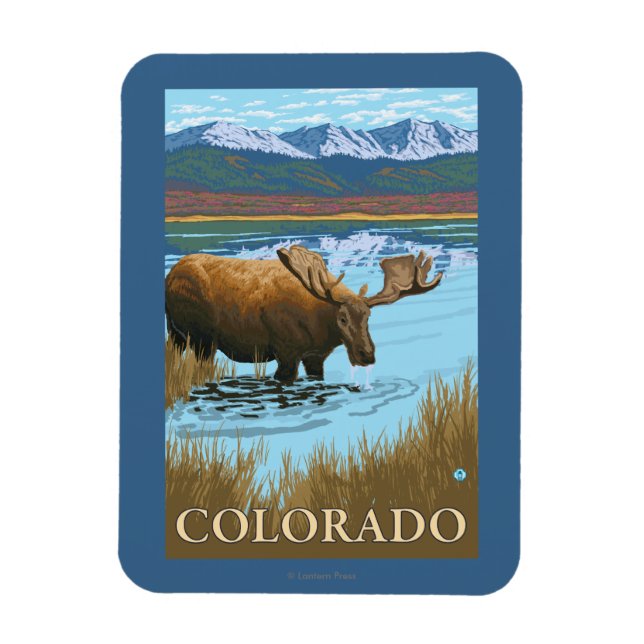 Moose DrinkingColorado Magnet (Vertikal)