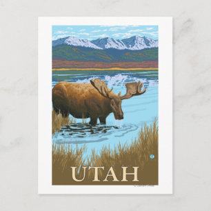 Moose DrinkingUtah Vykort