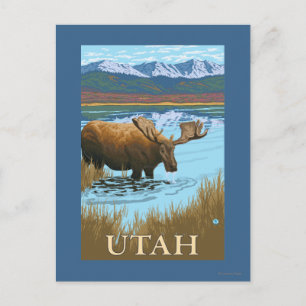 Moose DrinkingUtah Vykort