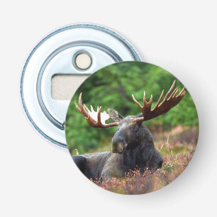 Moose Flasköppnare