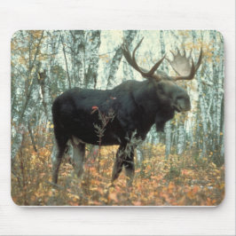 Moose Forest Träd Park Animal Wildlife Art Musmatta