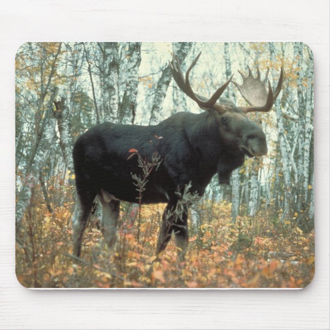Moose Forest Träd Park Animal Wildlife Art Musmatta (Framsidan)