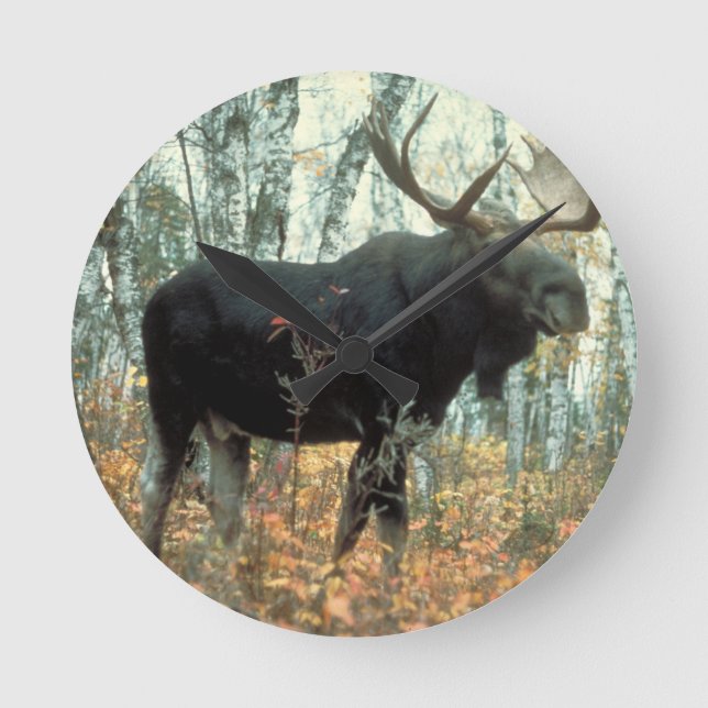 Moose Forest Träd Park Animal Wildlife Art Rund Klocka (Framsida)