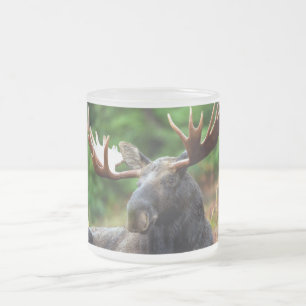 Moose Frostad Glasmugg