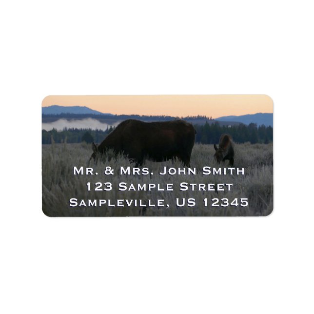 Moose Grazing at Sunrise at Grand Teton Adressetikett (Framsidan)
