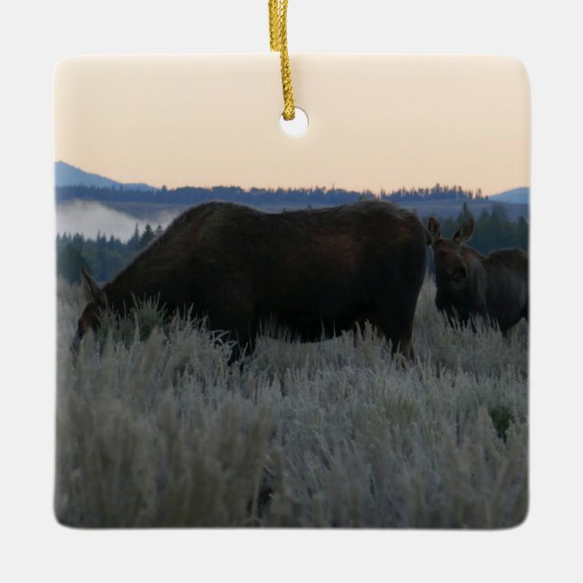 Moose Grazing at Sunrise at Grand Teton Julgransprydnad Keramik (Framsida)