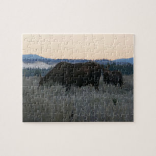 Moose Grazing at Sunrise at Grand Teton Pussel