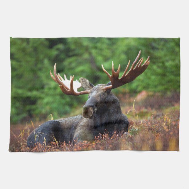 Moose Hand Towel Kökshandduk (Horisontell)