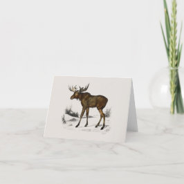 Moose Helgkort