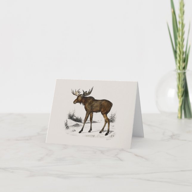 Moose Helgkort (Framsida)