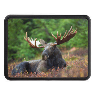 Moose Hitch Cover Dragkroksskydd
