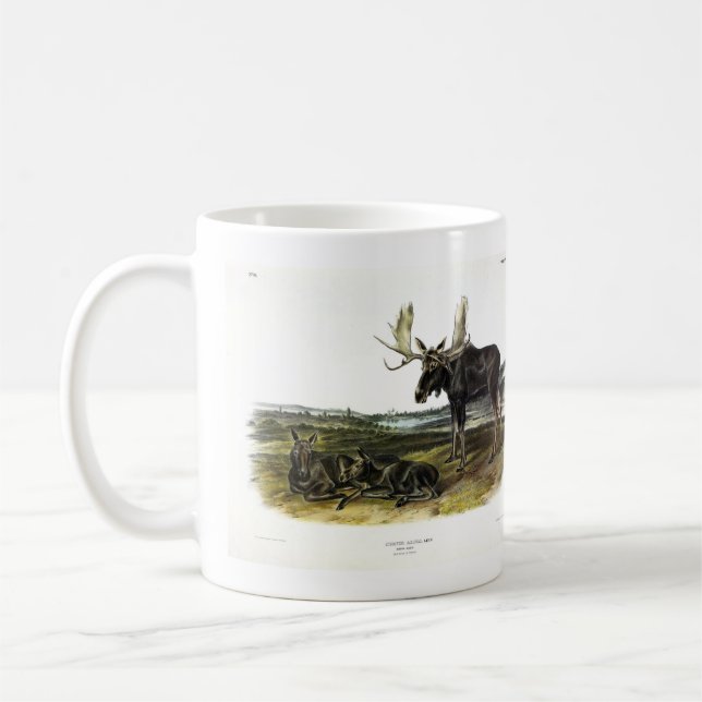 Moose Hjort (Moose - Alces alces) från Audubon Kaffemugg (Vänster)