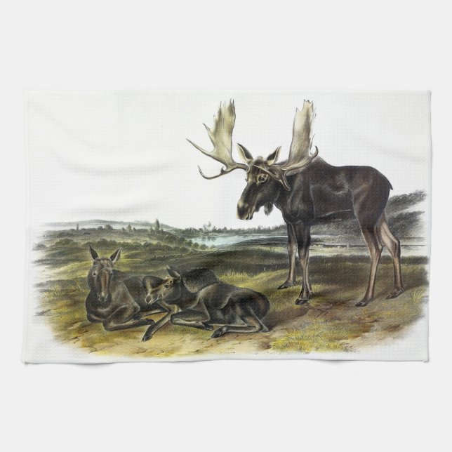 Moose Hjort (Moose - Alces alces) från Audubon Kökshandduk (Horisontell)