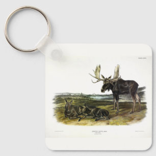 Moose Hjort (Moose - Alces alces) från Audubon Nyckelring