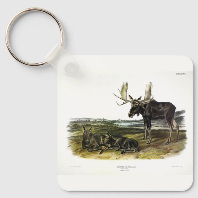 Moose Hjort (Moose - Alces alces) från Audubon Nyckelring (Framsida)