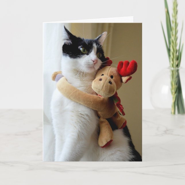 Moose Hugger Kattunge julhälsningskort Helgkort (Framsida)