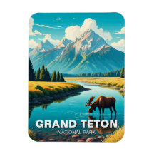Moose i Grand Teton nationalpark