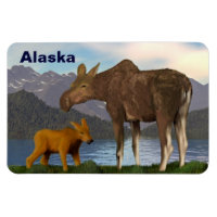Moose i Meadow