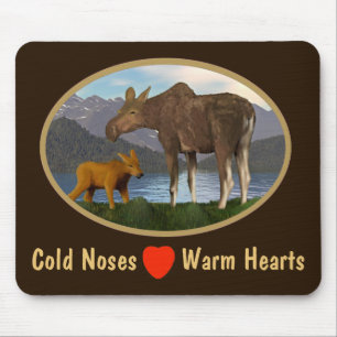 Moose i Meadow Musmatta