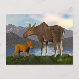 Moose i Meadow Vykort