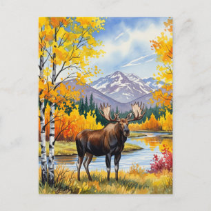 Moose i Vintagen Denali National Park Alaska Vykort