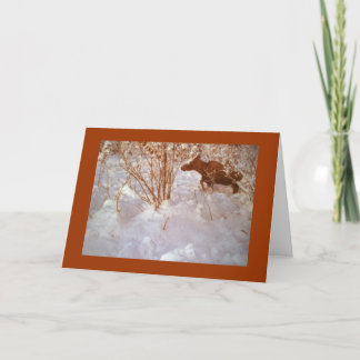 Moose in Alaska Blank Greeting Card Kort