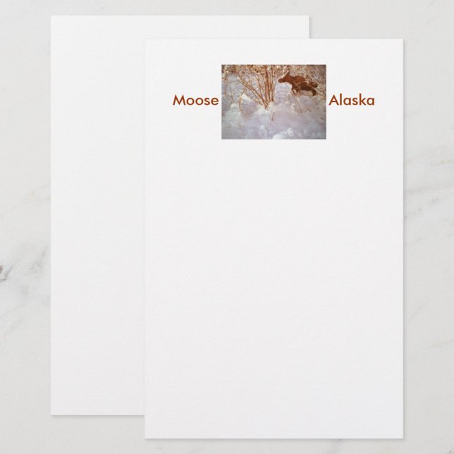 Moose in Alaska Stationery Brevpapper (Fram/baksida)