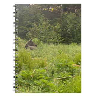 Moose in Grass Notebook Anteckningsbok