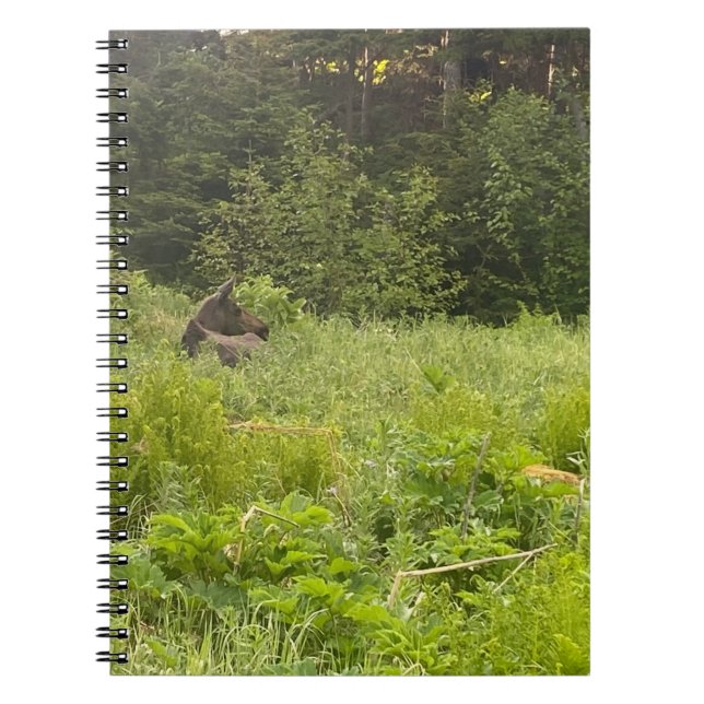 Moose in Grass Notebook Anteckningsbok (Framsidan)