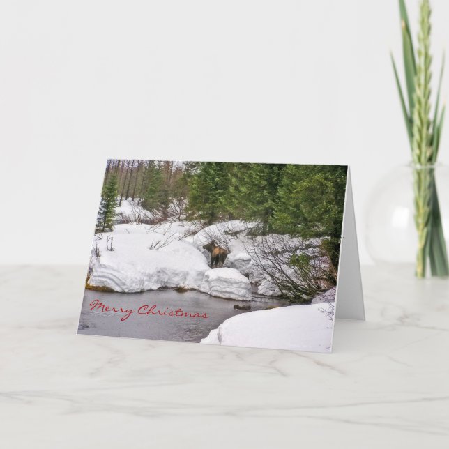 Moose in Snö Greeting Card Helgkort (Framsida)