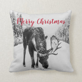 Moose in Winter on Snowy Road jul Kudde