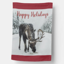 Moose in Winter Snö jul Out Home Cabin