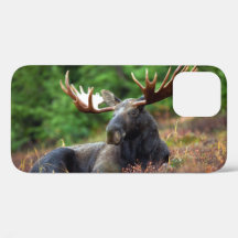 Moose iPhone 12 Fodral