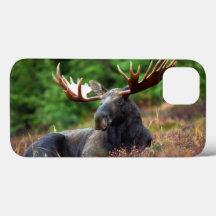 Moose iPhone 13 Fodral