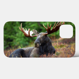 Moose iPhone 13 Fodral