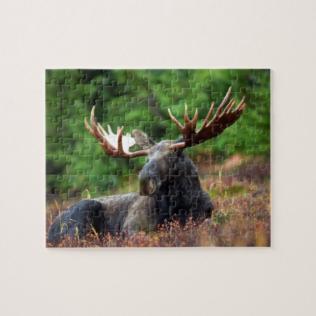 Moose Jigszle Puzzle Pussel (Horisontell)