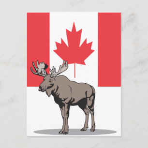 Moose Kanada Vykort