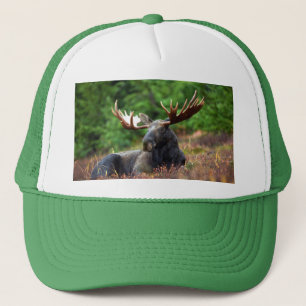 Moose Keps