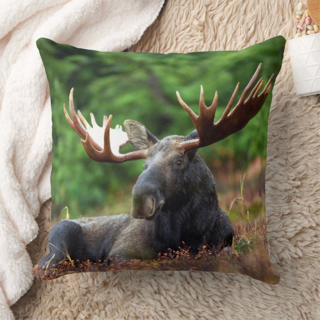 Moose Kudde (Filt)