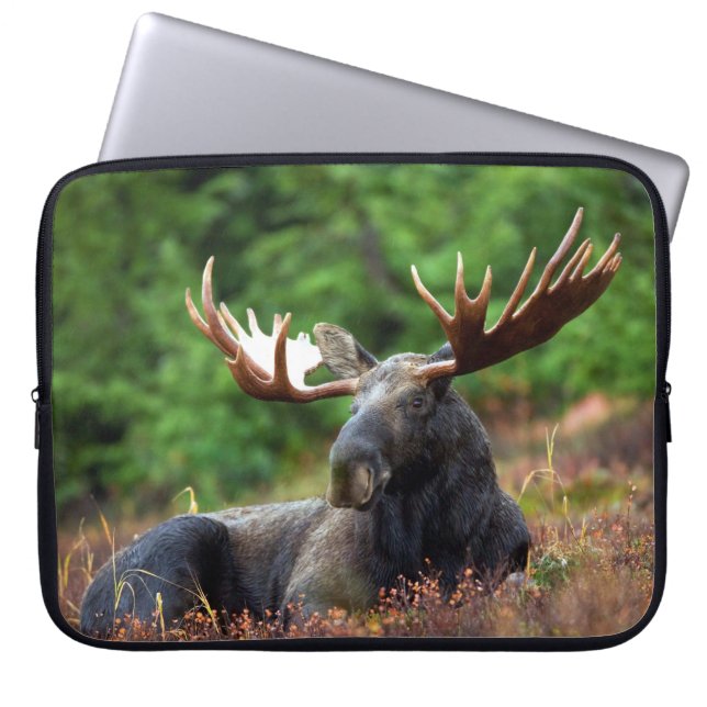 Moose Laptop sleeve (Framsidan)