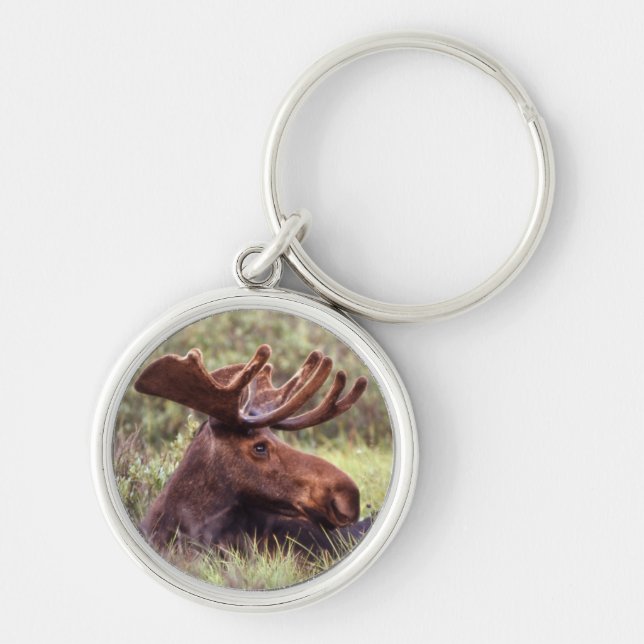 Moose Lounging Keychain Rund Silverfärgad Nyckelring (Framsidan)