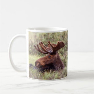 Moose Lounging Mugg