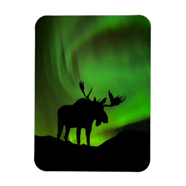 Moose med Grönt Aurora Borealis, Alaska Magnet (Vertikal)