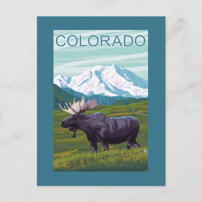Moose med MountainColorado Vykort (Framsida)